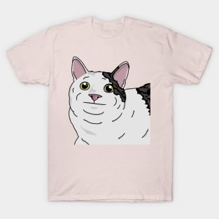 Polite Cat T-Shirt
